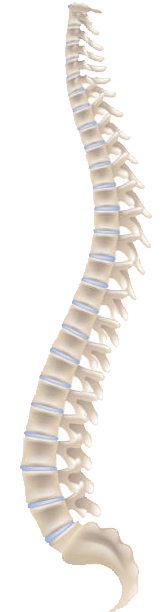 spine surgery in Uppal